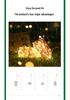 LED Solar Copper Wire String Lights for Indoor/Outdoor Holiday Decoration