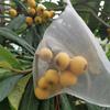 Fruchtschutznetzbeutel Gartenpflanze Insektenschutz Fliegenvogel Affenhörnchen Landwirtschaftlicher Obstgarten Schädlingsbekämpfung Kordelzug Pflanzgefäß