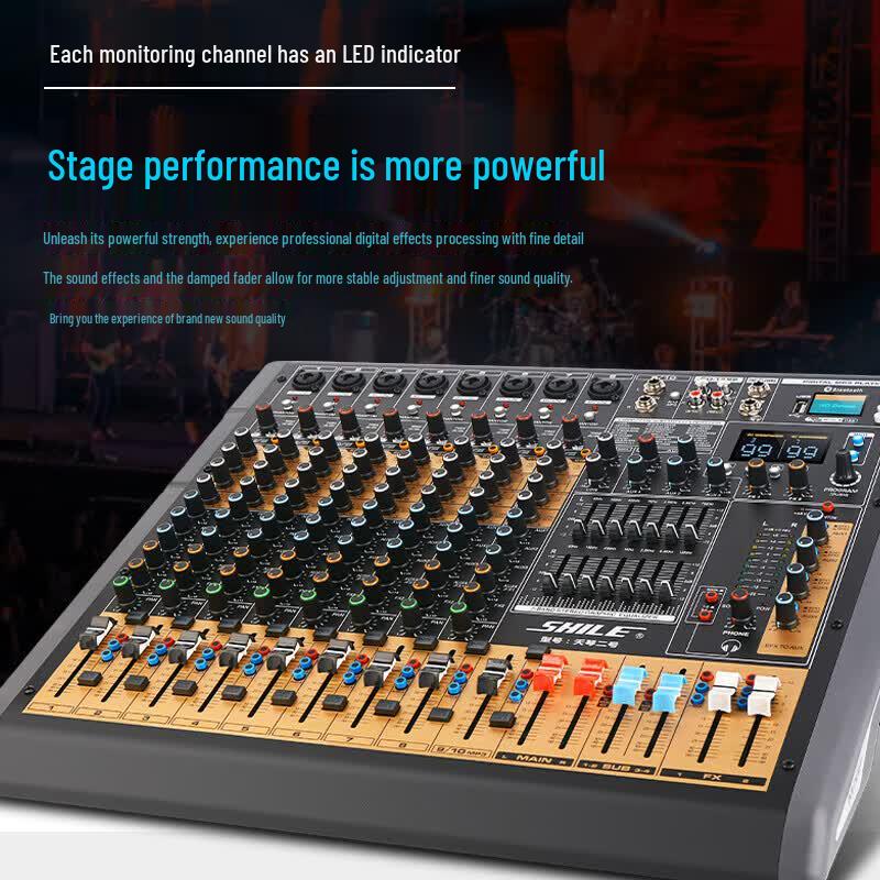 SHILE Lyra II 10-Channel Professional Mixing Console