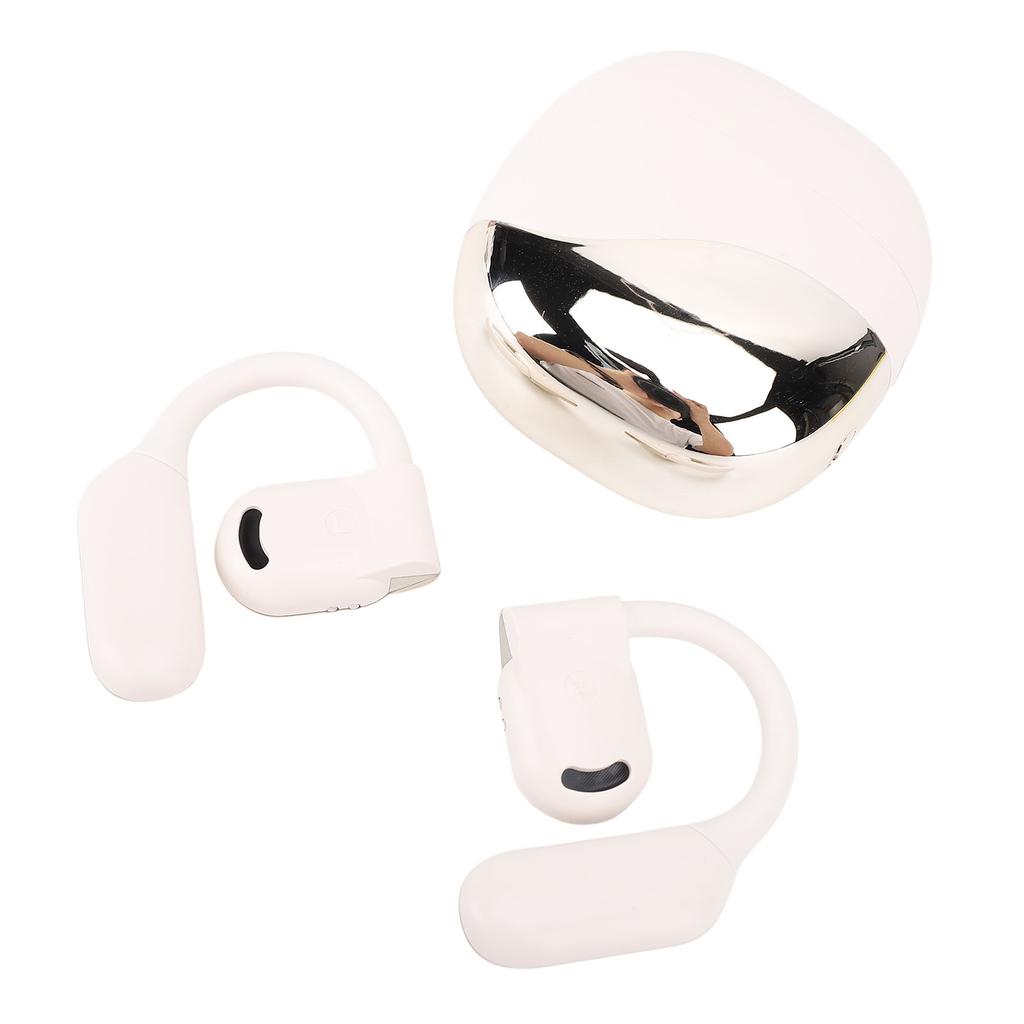 Translation Earbuds Earhook Active Noise Reduction Wireless Bluetooth AI Language Translator