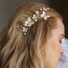 Damen Mode Metall Tierform Strass Haarspange zum Frisieren