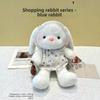 Plush Bunny Doll With Dress Cute Stuffed Animal Gift For Kids And Adults