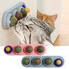 Rotating Cat Toy Catnip Ball Bite-resistant Edible Interactive Entertaining Teeth Cleaning Cat Toy Pet Supply