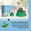 YEGBONG Mint Flavored Spinning Cat Ball Toy (1pc) - Safe Chewing Toy for Cats, Dental Cleaning and Care, Spinning Mint Ball for Your Cat's Health