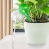 Plant Self Watering Bulb Planter Insert Automatic Watering Device Home Gardening