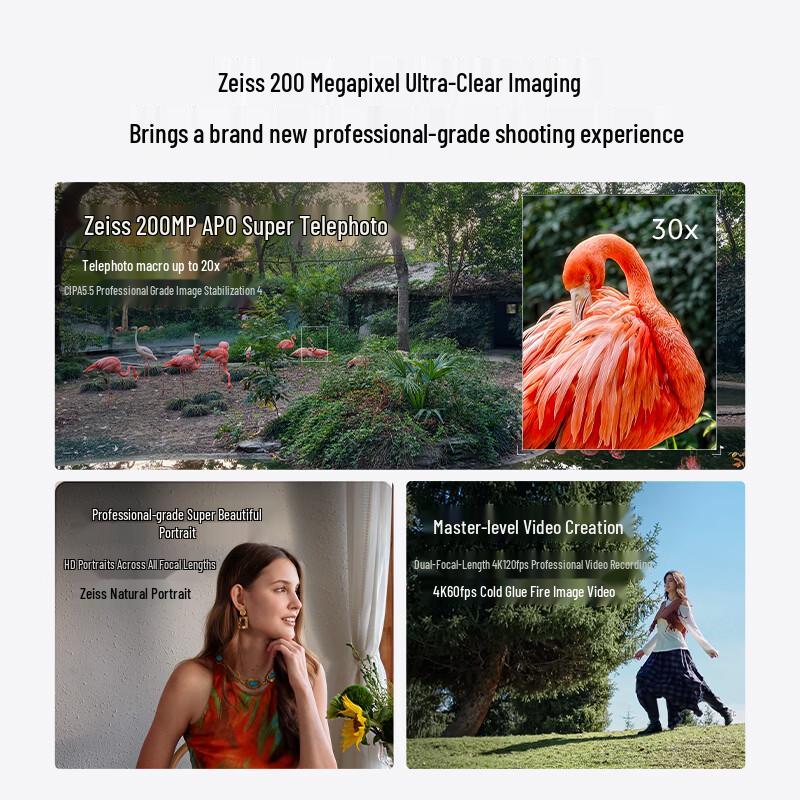 vivo X300 Pro Satellite Edition Smartphone (CN version)