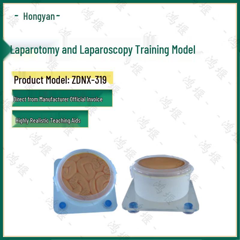 Laparotomy and Abdominal Closure Training Model