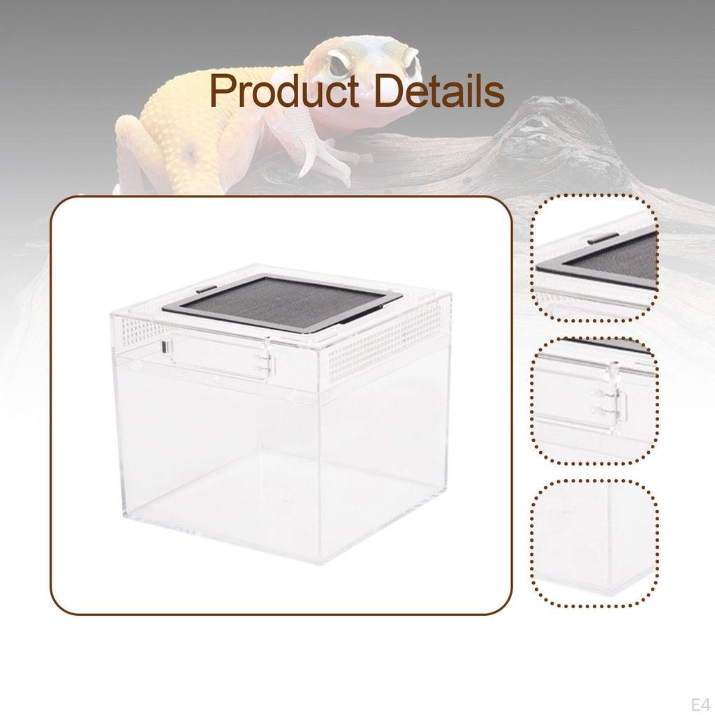 Uppfödnings-terrarium för reptiler, Transparent reptillåda, Behållare Grodor, Drakar, Tusenfotingar,