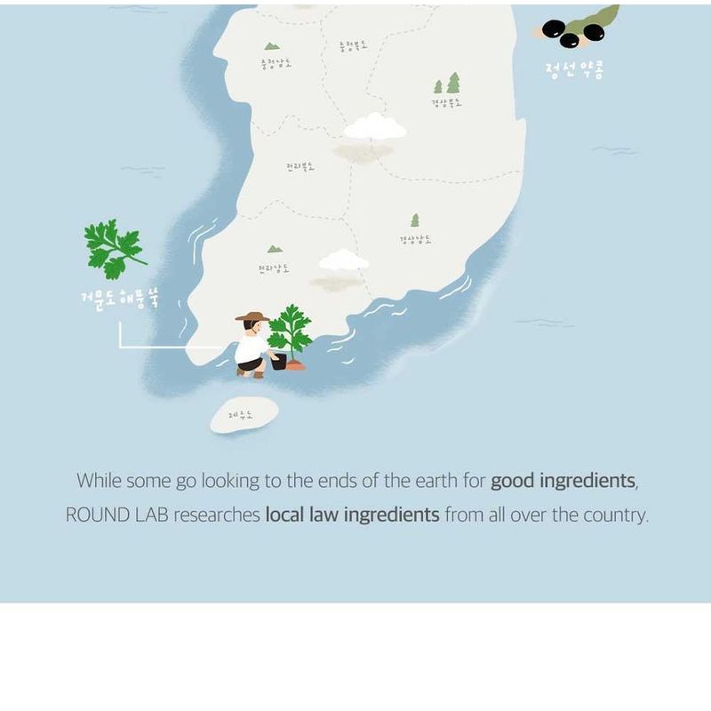 ROUND LAB - Mugwort Calming Serum
