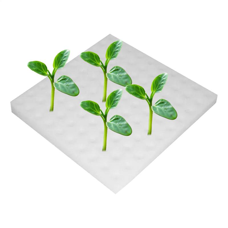 Dirt Resistant Seedling Sponge Soilless Foam Seedling Medium Seed Sponge Cube Growth Square Hydroponics Garden supplies