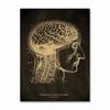 Anatomical Skeleton Chalkboard Poster Kraft Paper Posters DIY Vintage Home Room Medicine Student Decor Medical Art Wall Painting