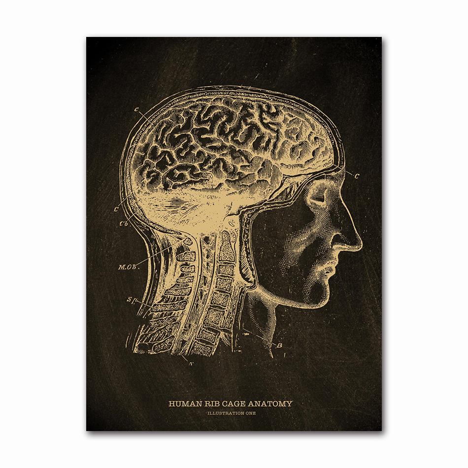 Anatomical Skeleton Chalkboard Poster Kraft Paper Posters DIY Vintage Home Room Medicine Student Decor Medical Art Wall Painting