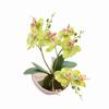 Artificial Butterfly Orchid Bonsai Fake Flower with Tray Home Table Decoration