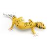 Miniature Reptile Animals Figures PVC Material Gecko Figure Lizard Model Figurines  Kids Toy