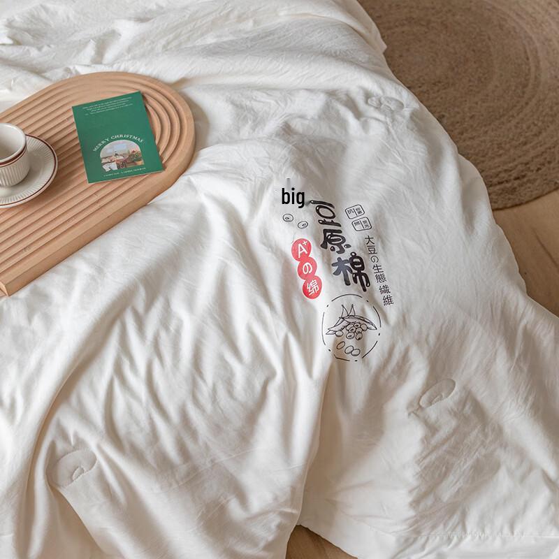 MUJI Soy Fiber Summer Duvet