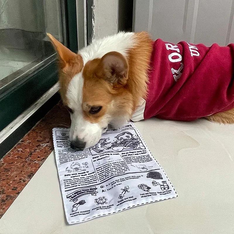 Simulated Squeaky Dog Toys Newspaper Shaped Pet Chew Toys For Small Breeds And Puppies Interactive Pet Dog Sound Toy