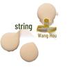 Thick Cotton Candy Air Cushion Powder Puff: Dual-Use Foundation, Concealer, and Makeup Powder for Smooth Application.