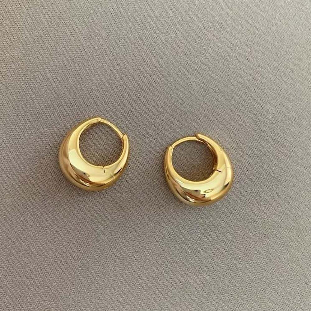 Elegant Circle Earrings 925 Silver Needle Silver Ear Buckles Brilliant Golden Round Earrings  Girls