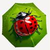 1pc ladybug leaf Automatic Open/Close Umbrella with Windproof, 8-Rib Sturdy Canopy, Durable Ribs, Fashionable Design1135A