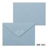 Midori Letter Set Foil-Pressed Envelope Babys Breath Pattern