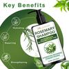 Rosemary Shampoo-Gentle Formula-Rich Lather-Refreshing & Comfortable-Suitable For All Hair Types, 150ml