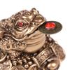 Chinese Amulet Toad Frog Feng Shui Yin Yang Home Office Decor  Vintage Protect Charm Talisman Powerful Wealth Success Health Lucky Jewelry Unisex