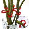 Bloemplanten Stengelsteunen Palen Klimhuisplanten Stand Frame Plastic Tuin Geen Paal Trellis Binnenplant Houder Rek Haken