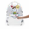 BABY EINSTEIN DEAN Transat bébé balancelle électrique évolutif 3-en-1, Melodies et vibrations, 3 Positions, arche amovible 0-30 mois