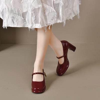 Square Head Mary Jane Shoes Women's Spring New One-word Buckle Shallow Mouth Single Shoes High Heels Thick Heel Fashion Shoes