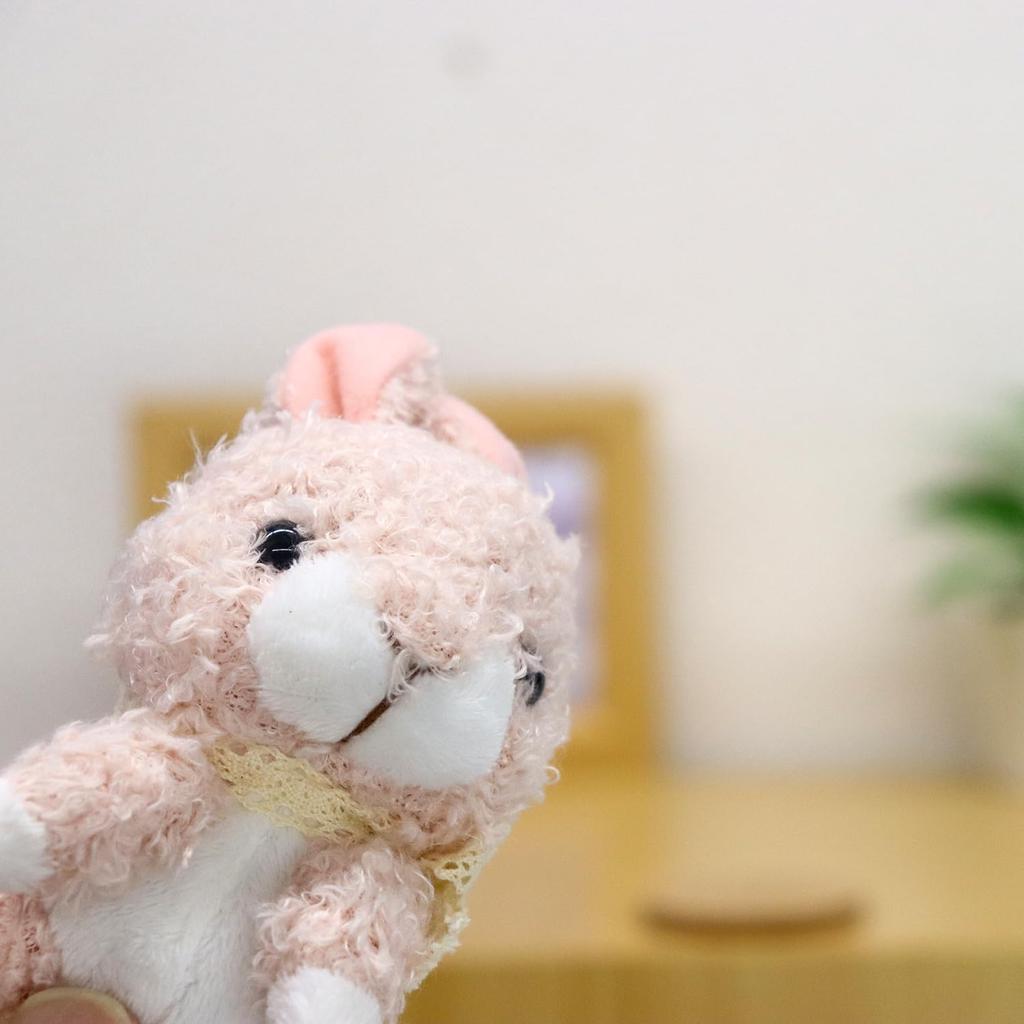 Shinada Honey Bunny (S) with Ball Chain, Pink