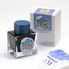 Winter Limited FANGYANGTAN 20 Colors 50ml Sheen Fountain Pen Ink Non-Carbon for Glass Dip Pen Stationery School Supplies
