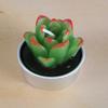 New simulation succulent plant candles, rose candles, 44 product combinations, and special-shaped paraffin candles