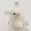 White Rabbit Keychain 6458 No.