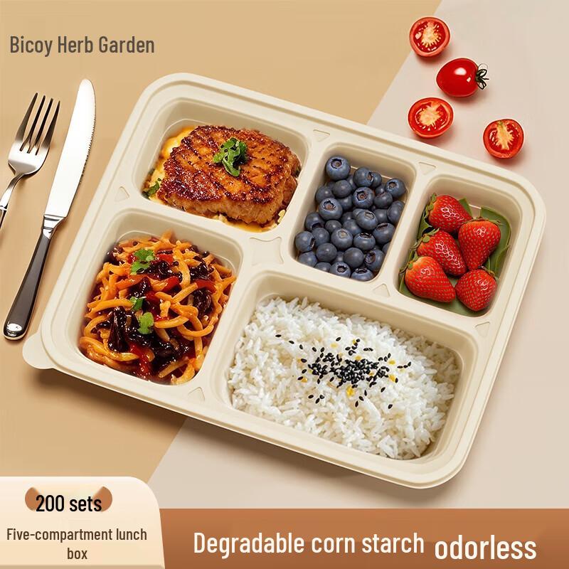 Biodegradable 5-Compartment Disposable Food Containers