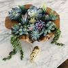 15pcs Premium Artificial Succulent Plants - Lifelike Realistic Fake Plants with Vibrant Colors for Home, Christmas, Wedding, Birthday, and Yard Decor