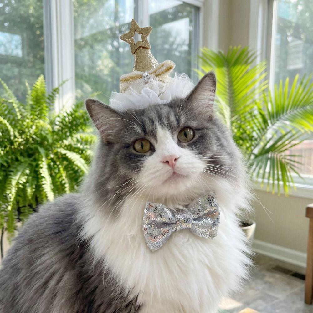 Adjustable Cat Birthday Party Hat Star Sequins Dog Party Headband Pet Star Hat  Pet Birthday Party
