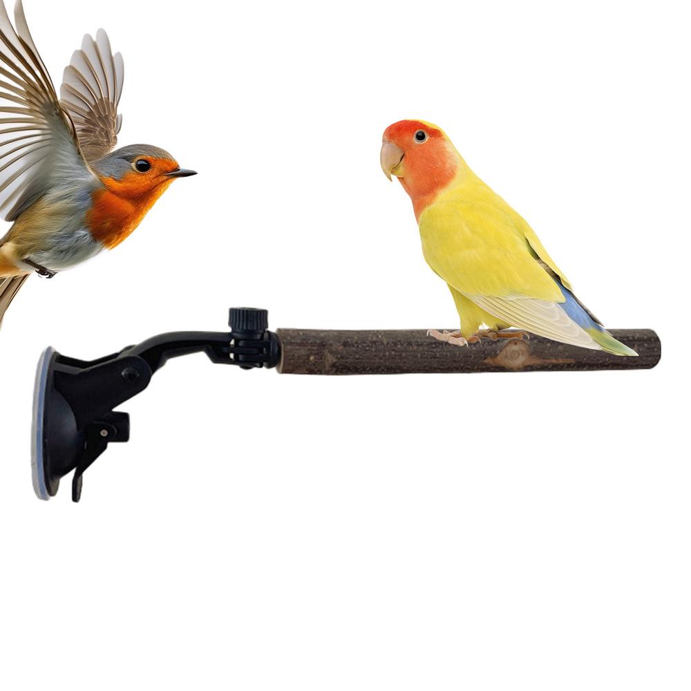 

Suction Cup Bird Perch Adjustable Movable Suction Cup Parrot Rack Bath Wood Training Perch For Macaw Parakeet Lovebirds Bath Car