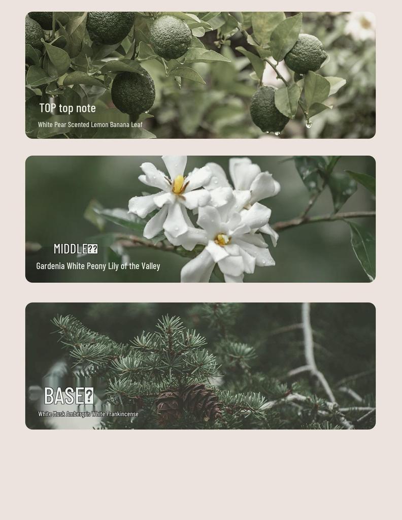Hand Cream with Essential Oil: Portable, Moisturizing, Long-lasting Fragrance for Men/Women - Perfect Autumn/Winter Souvenir