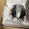 [USED] Kamen Rider Mask Display Old No. 2