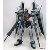 MG 1/100 GAT-X105E Strike Noir Gundam (Mobile Suit Gundam SEED C.E.73 STARGAZER)
