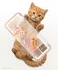 [BEST] Clio Pro Eye Palette Airbrush 1P