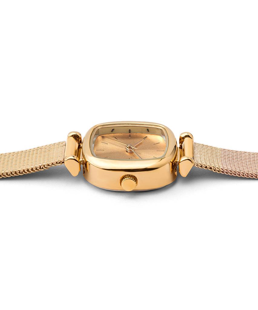 Komonowachi Moneypenny Royal Gold