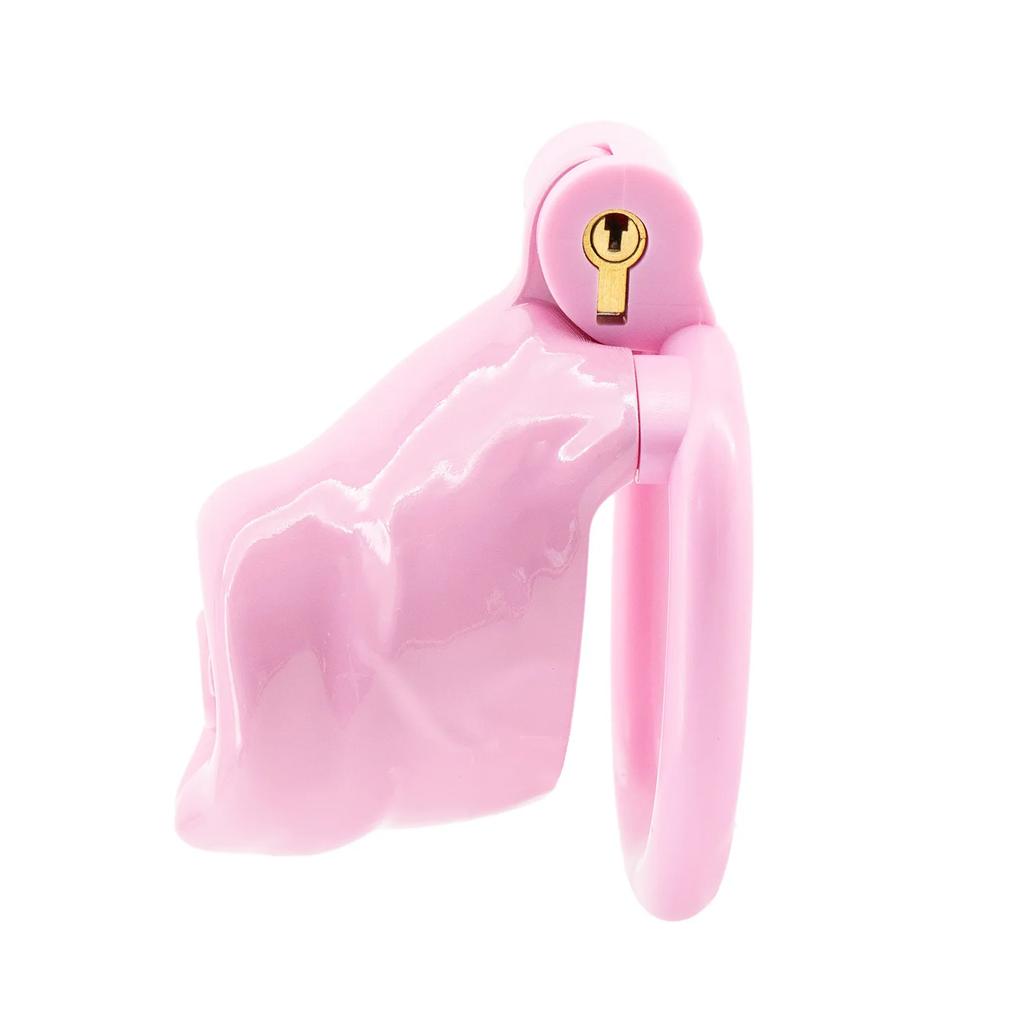 Chastity Cage Dildo Dog Penis Female Chastity Bdsm Sex Toy for Men Anti Removal Longterm Cock Cage Animal Penis Chastity Lock