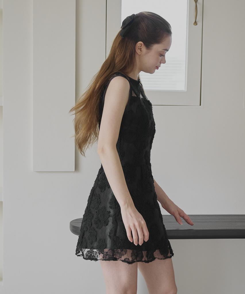 Aliena Flower Embroidery Mini Dress