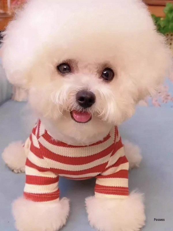 Striped Anti-Shedding Dog Shirt for Small Breeds - Spring/Autumn, Four-Legged Design for Teddy, Bichon, Pomeranian