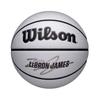 Wilson Lebron NBA Basketball