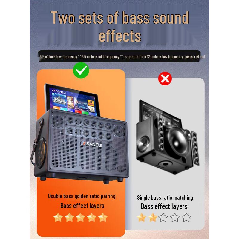 SANSUI Q60 Outdoor KTV Speaker with 17-inch Display