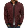 European Size Men's Cotton-Padded Quilted Jacket - Autumn/Winter, Loose Fit, 2025 Edition.