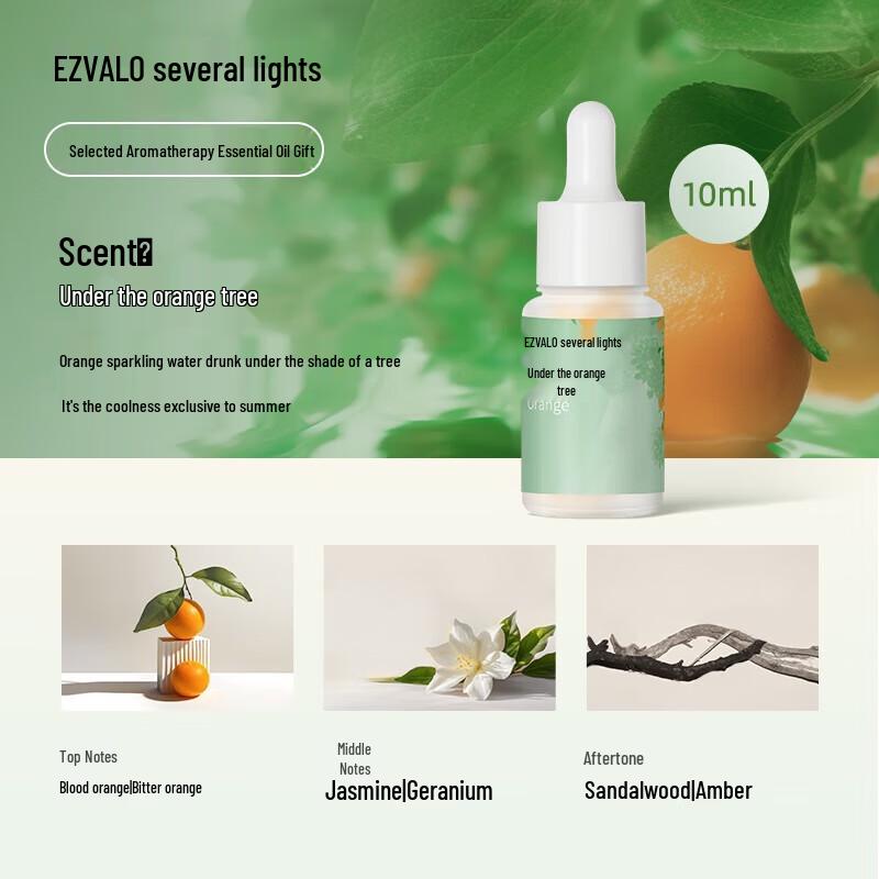 Jiguang Vinyl Record Bluetooth Speaker with Aroma Diffuser