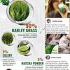 250gAUSTRALIAN BARLEY GRASS POWDER ORGANIC Pure Fresh 100%BARLEYGRASS Supplement